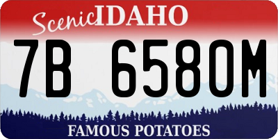 ID license plate 7B6580M