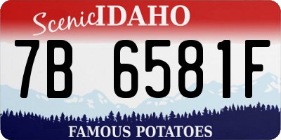 ID license plate 7B6581F