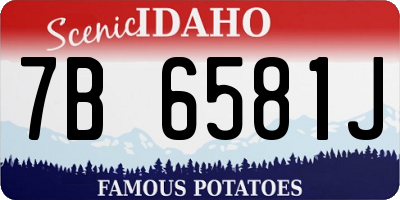 ID license plate 7B6581J