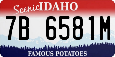 ID license plate 7B6581M