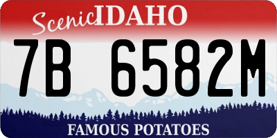 ID license plate 7B6582M