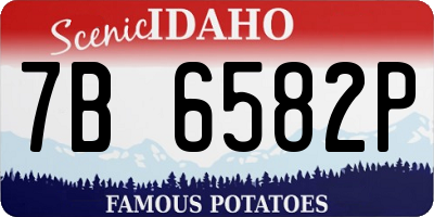 ID license plate 7B6582P