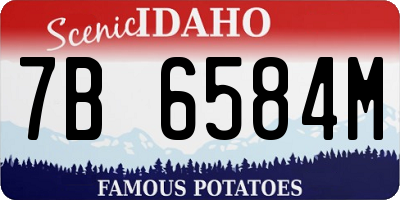ID license plate 7B6584M