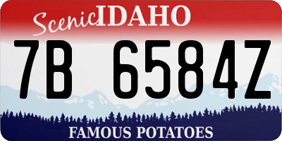 ID license plate 7B6584Z