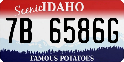 ID license plate 7B6586G