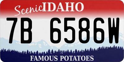 ID license plate 7B6586W