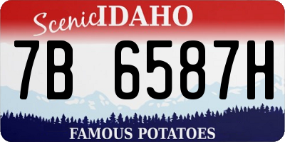 ID license plate 7B6587H