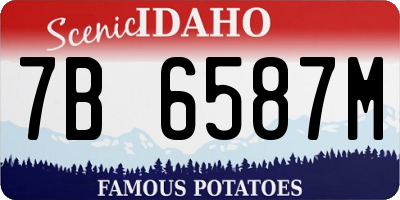 ID license plate 7B6587M
