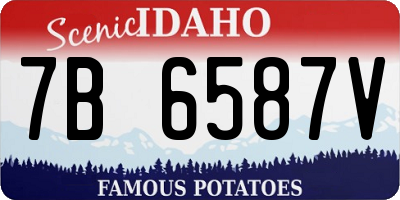 ID license plate 7B6587V