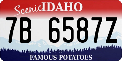 ID license plate 7B6587Z