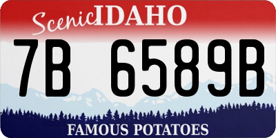 ID license plate 7B6589B