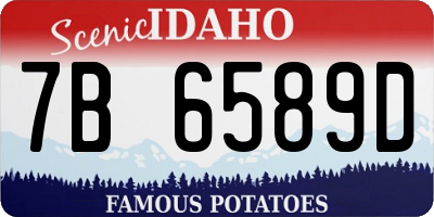 ID license plate 7B6589D