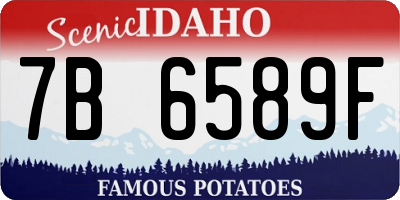 ID license plate 7B6589F