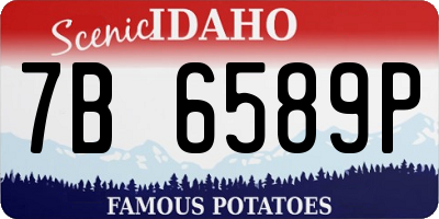ID license plate 7B6589P