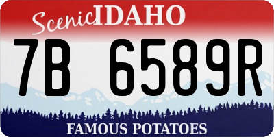 ID license plate 7B6589R