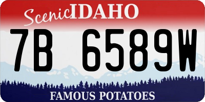 ID license plate 7B6589W