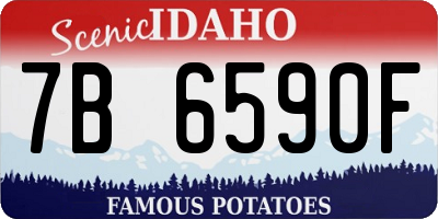 ID license plate 7B6590F