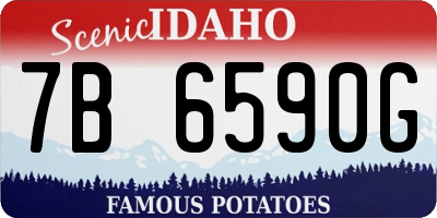 ID license plate 7B6590G