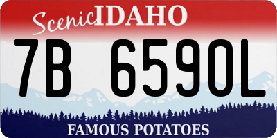 ID license plate 7B6590L