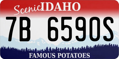 ID license plate 7B6590S