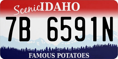 ID license plate 7B6591N
