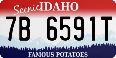 ID license plate 7B6591T
