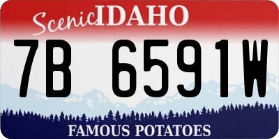 ID license plate 7B6591W