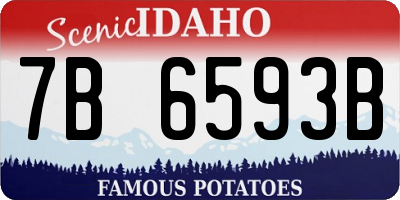 ID license plate 7B6593B