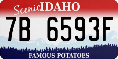 ID license plate 7B6593F