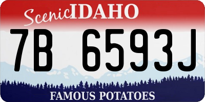 ID license plate 7B6593J
