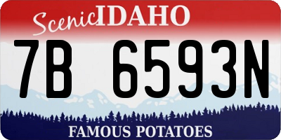 ID license plate 7B6593N