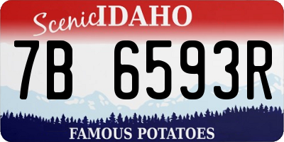 ID license plate 7B6593R