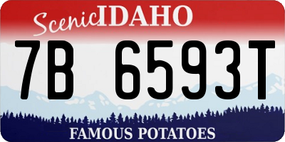 ID license plate 7B6593T