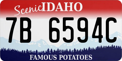 ID license plate 7B6594C