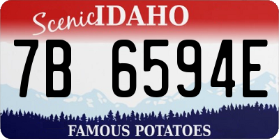 ID license plate 7B6594E