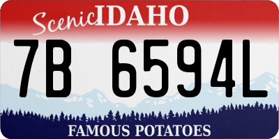 ID license plate 7B6594L