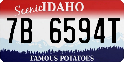 ID license plate 7B6594T