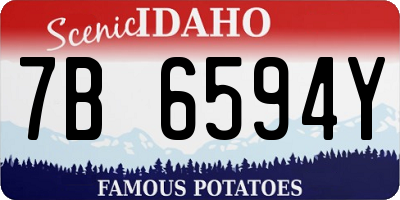 ID license plate 7B6594Y