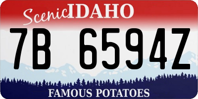ID license plate 7B6594Z
