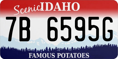 ID license plate 7B6595G