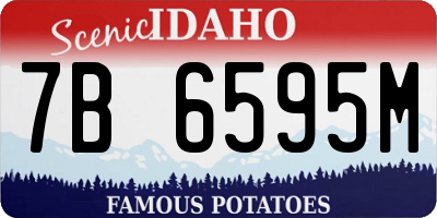ID license plate 7B6595M
