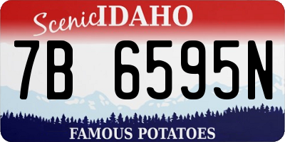 ID license plate 7B6595N