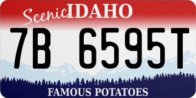 ID license plate 7B6595T