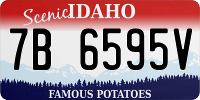 ID license plate 7B6595V