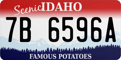 ID license plate 7B6596A