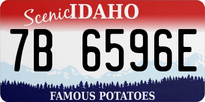 ID license plate 7B6596E