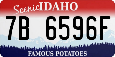 ID license plate 7B6596F