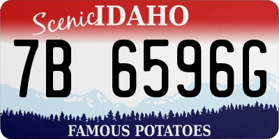 ID license plate 7B6596G