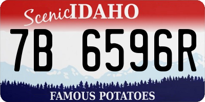 ID license plate 7B6596R