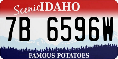 ID license plate 7B6596W